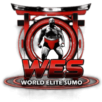 wes 1logo